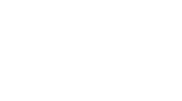 LV.net